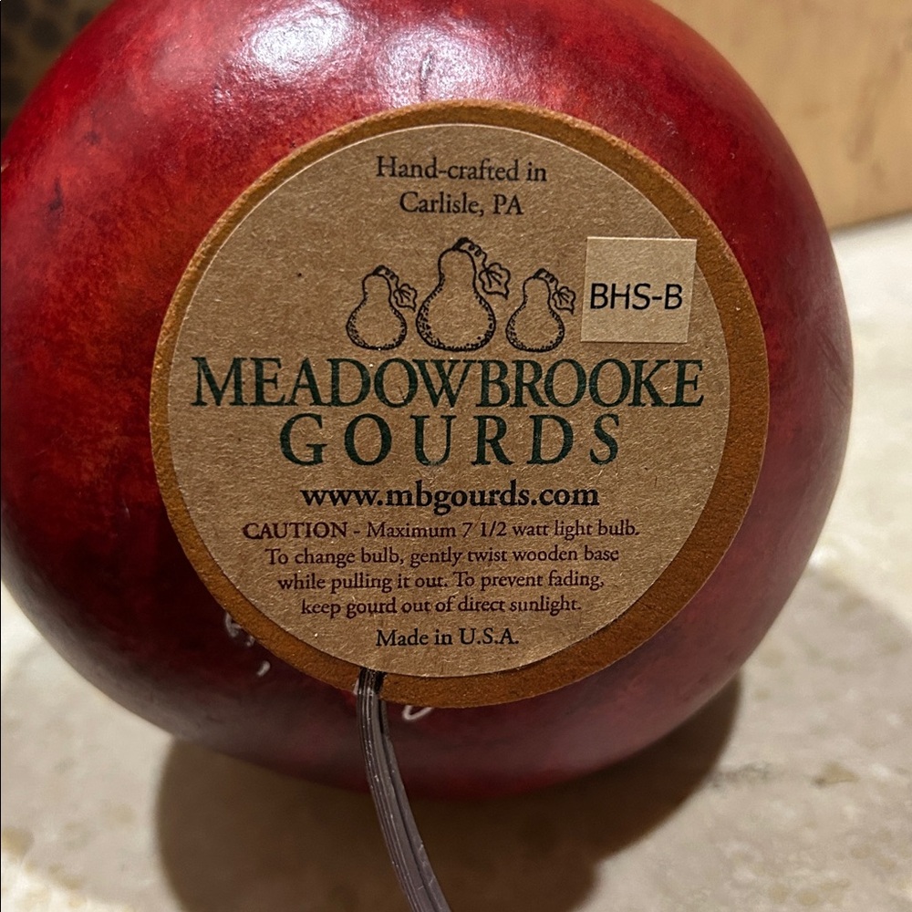 MEADOWBROOKE GOURDS Large Lit Santa Gourd Plug in Light - Picture 9 of 10